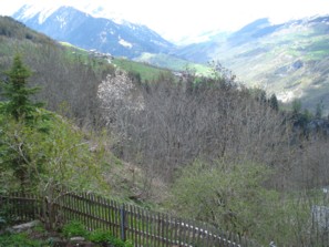 Fr&uuml;hlig im Tal des Lichts