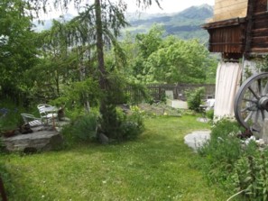 L&auml;rche,Arve,Linde,Birke,Stechpalme
